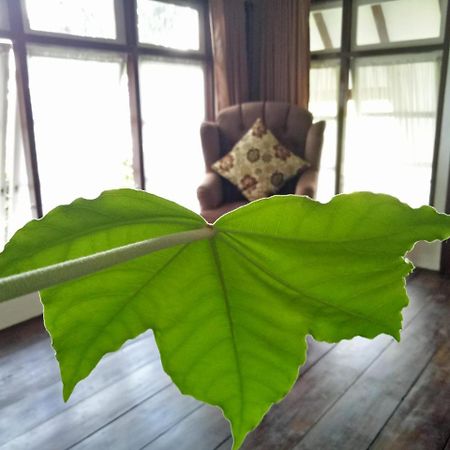 Rumah Pakankamih Bukittinggi Kültér fotó