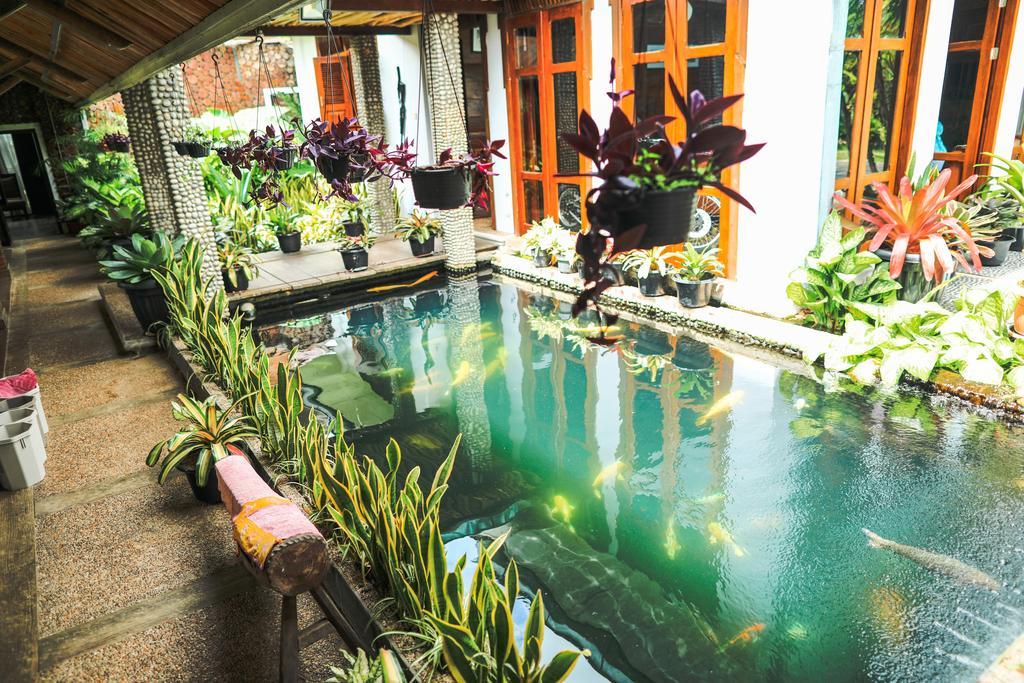 Rumah Pakankamih Bukittinggi Kültér fotó