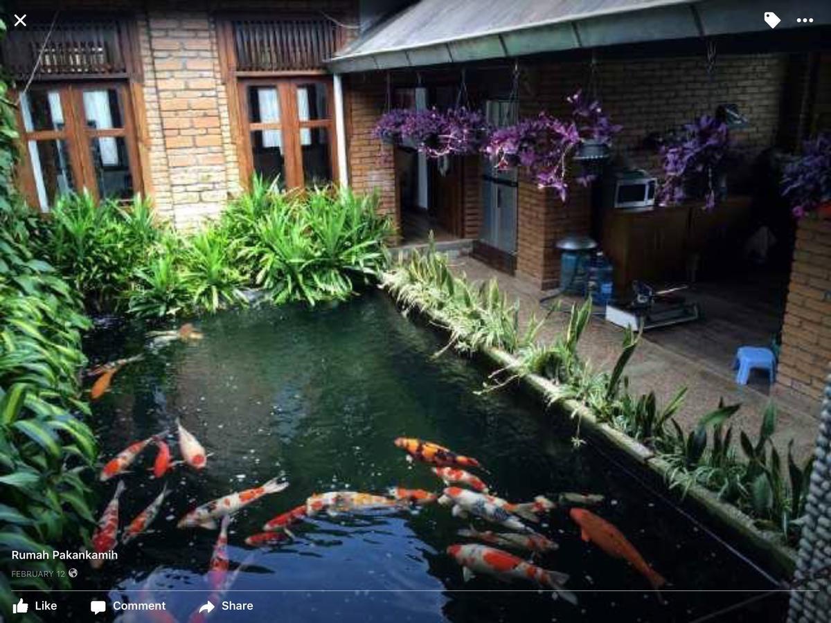 Rumah Pakankamih Bukittinggi Kültér fotó