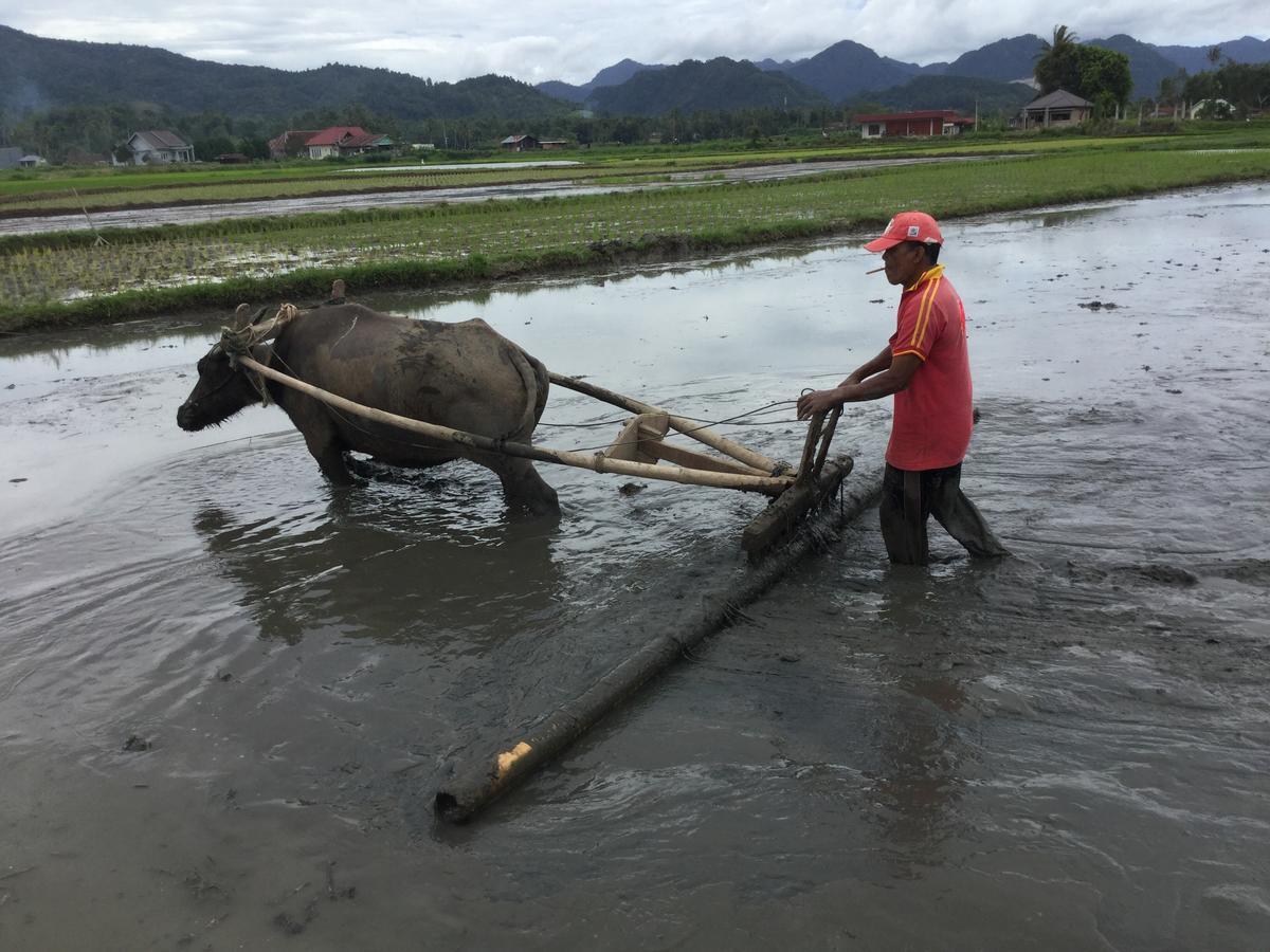 Rumah Pakankamih Bukittinggi Kültér fotó