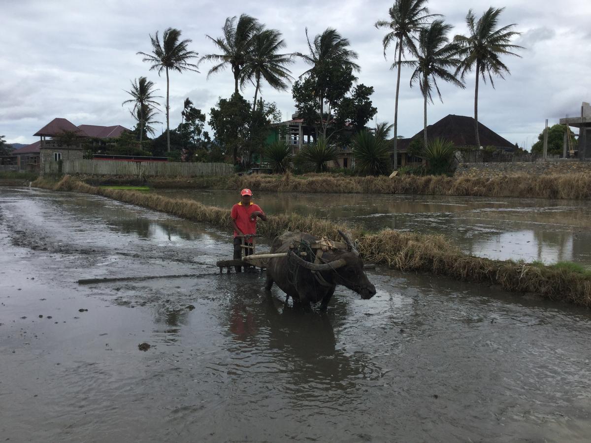 Rumah Pakankamih Bukittinggi Kültér fotó