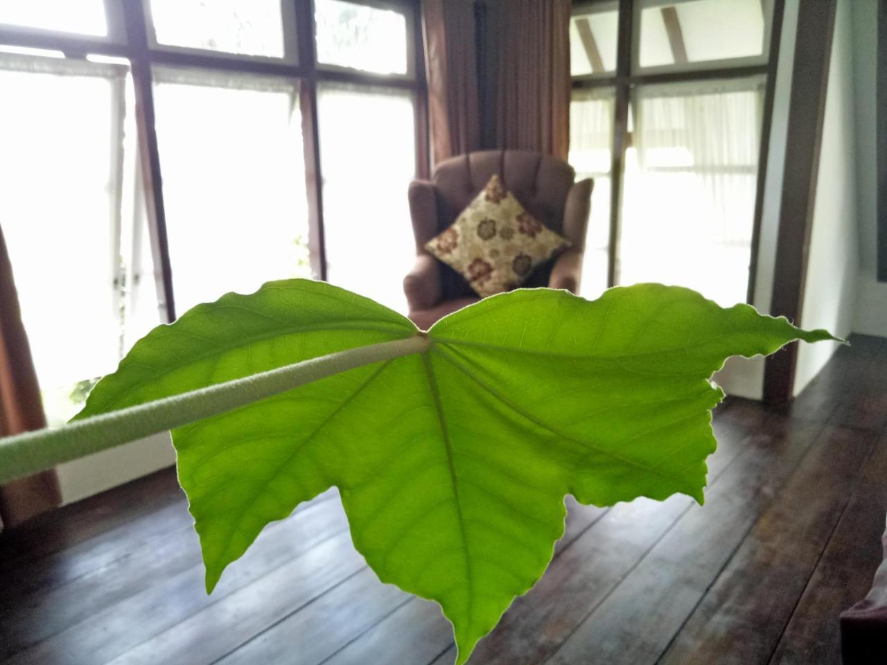 Rumah Pakankamih Bukittinggi Kültér fotó